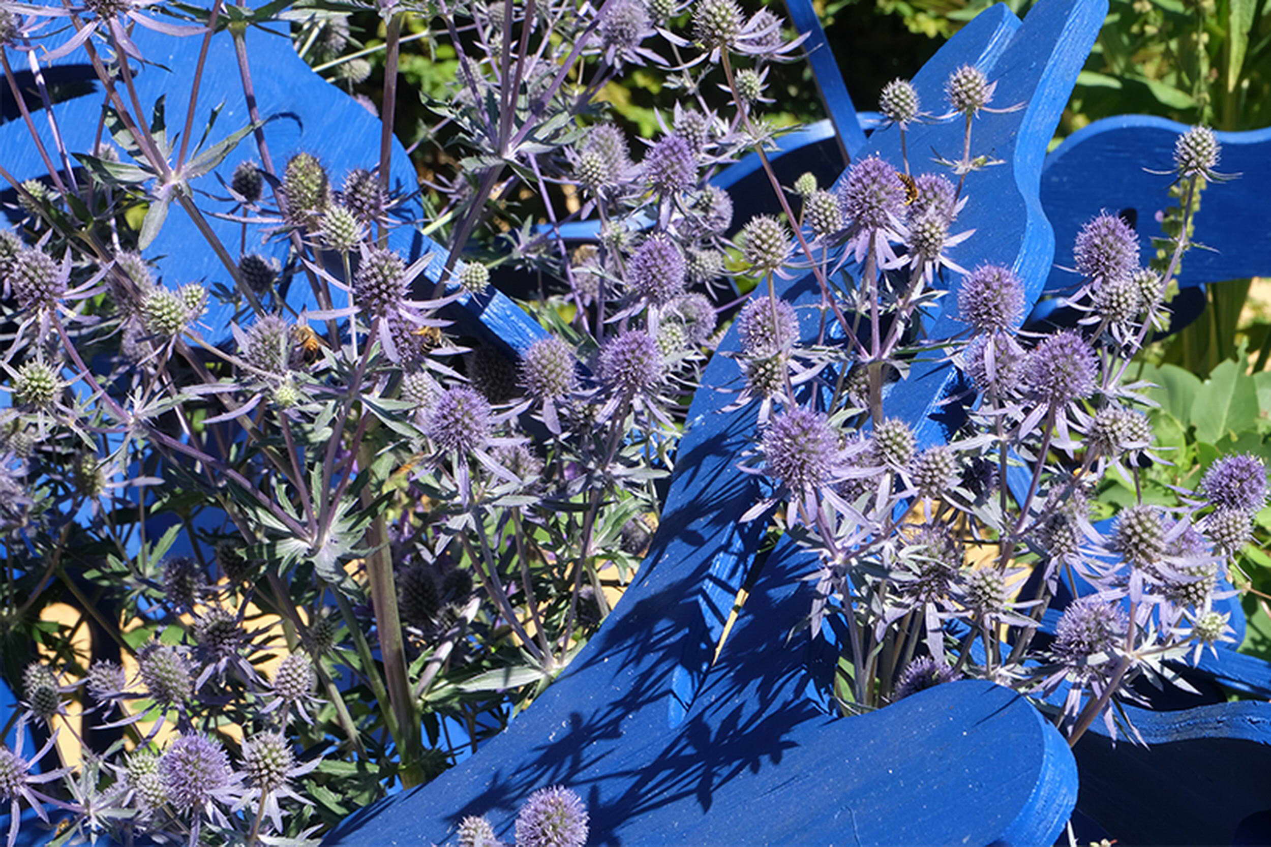 《沙之书》 | 蓝调沙漠,漫步无尽迷宫-13