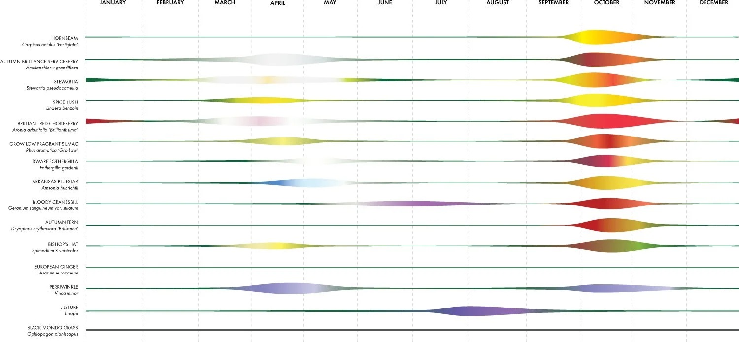 地形工程 交响花园丨美国新泽西-9