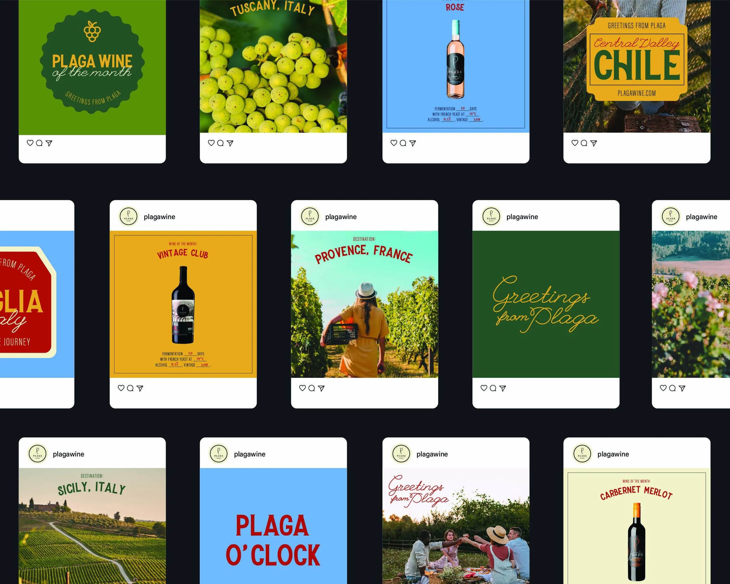 PLAGA WINES品牌重新定位与营销活动设计丨印度丨BrandWorks Jakarta-22