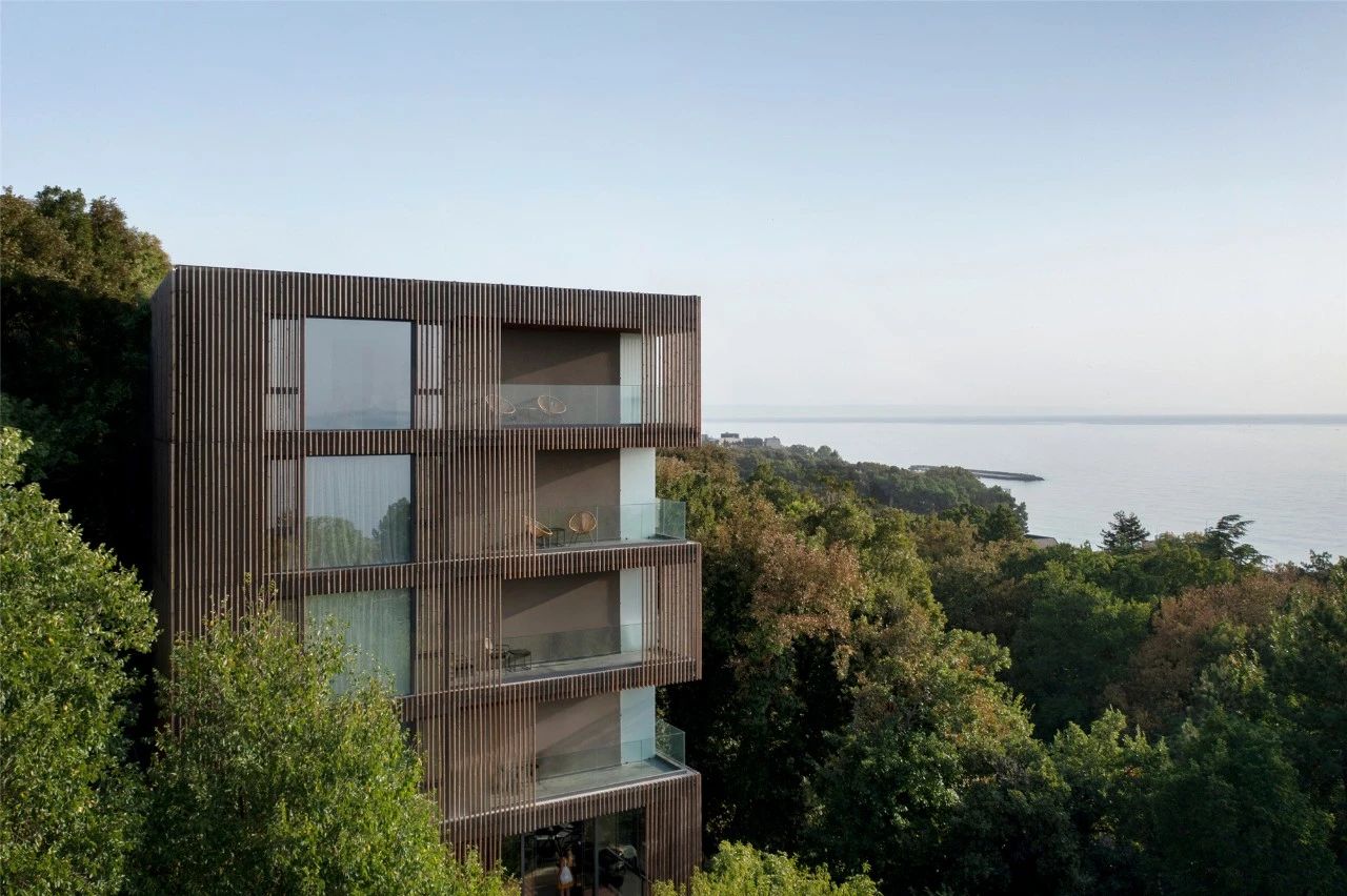 竹中诊所 - 温暖透明丨日本丨TSC Architects-72