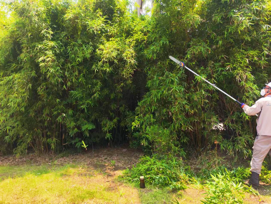 绿化养护｜“智”护钢铁绿洲：宝钢宝山基地的绿色呼吸由我们来守护-166