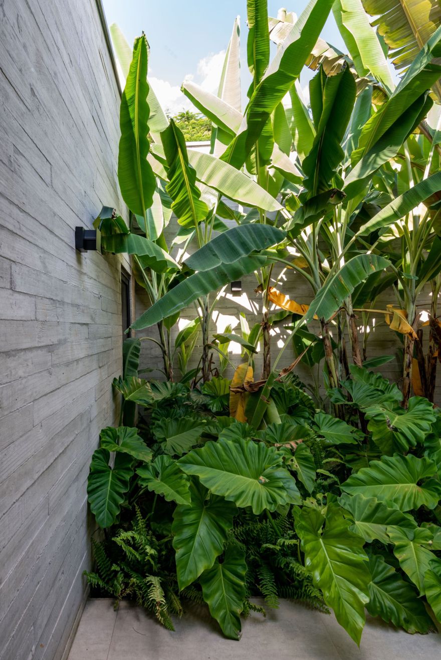 詹达亚斯之家丨巴西丨Sala 03 Arquitetura-51