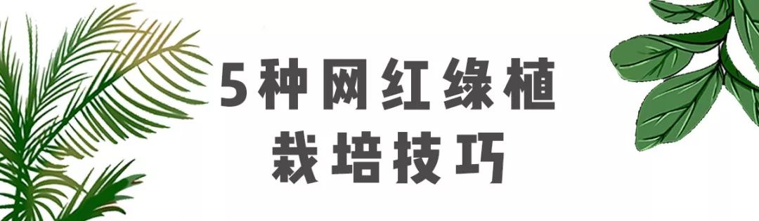 夏风轻拂,现代简约之家-63