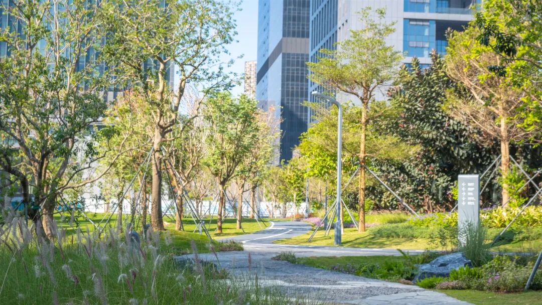 智见 · 云上 | 云之园 CLOUD PARK-160