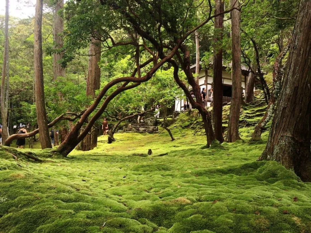 日本庭院设计 | 营造幽玄恬静的氛围-12