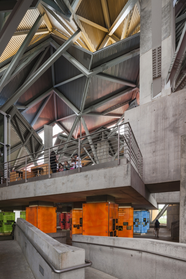 Biomuseo  生物多样性博物馆丨弗兰克·盖里（Frank Gehry）-67