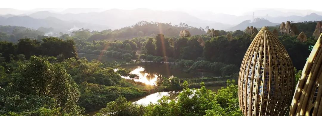 竹篮编织的生态度假村·惠州 1000 棵树庄园丨中国惠州-4