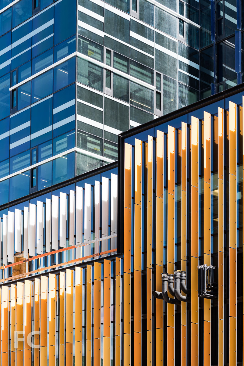 Amazon Headquarters Seattle — FIELD CONDITION-20