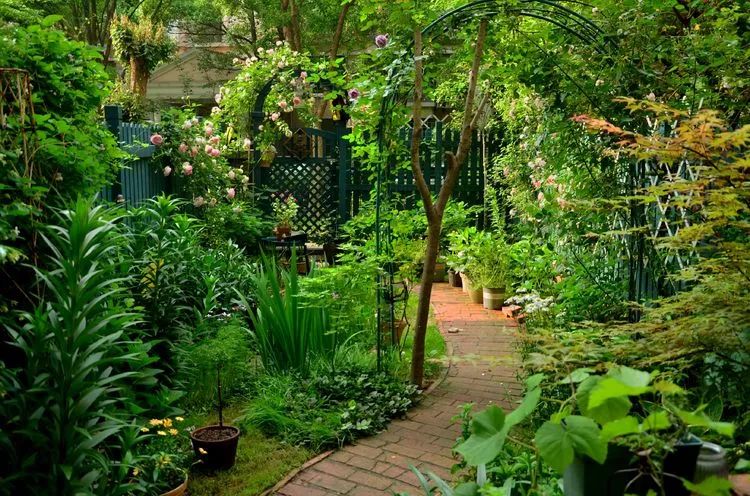 90后夫妻用4年时间，在魔都造了60平米花园，遛狗逗猫，好不惬意~-91