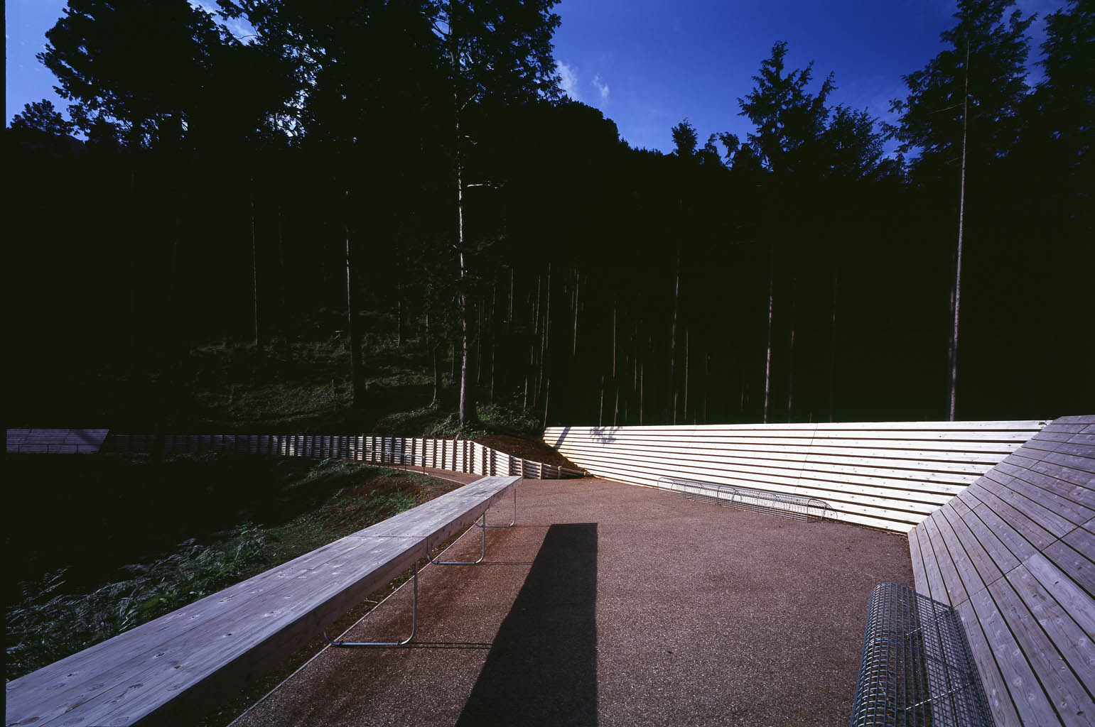 奥多摩森林疗法之路丨日本东京-13