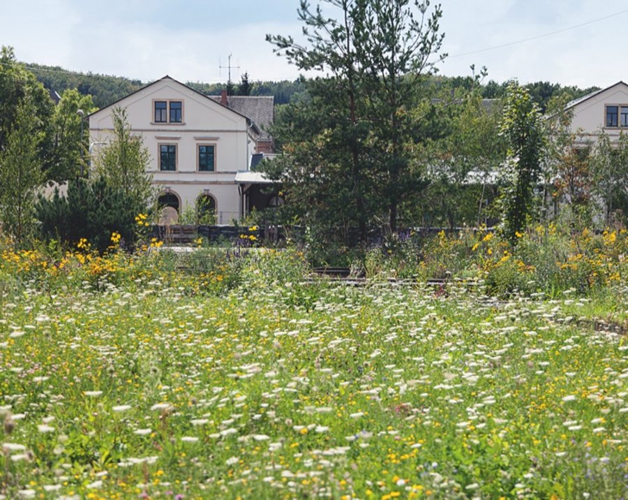 第7届萨克森州园艺展奥尔斯尼茨市民与家庭公园丨德国-43