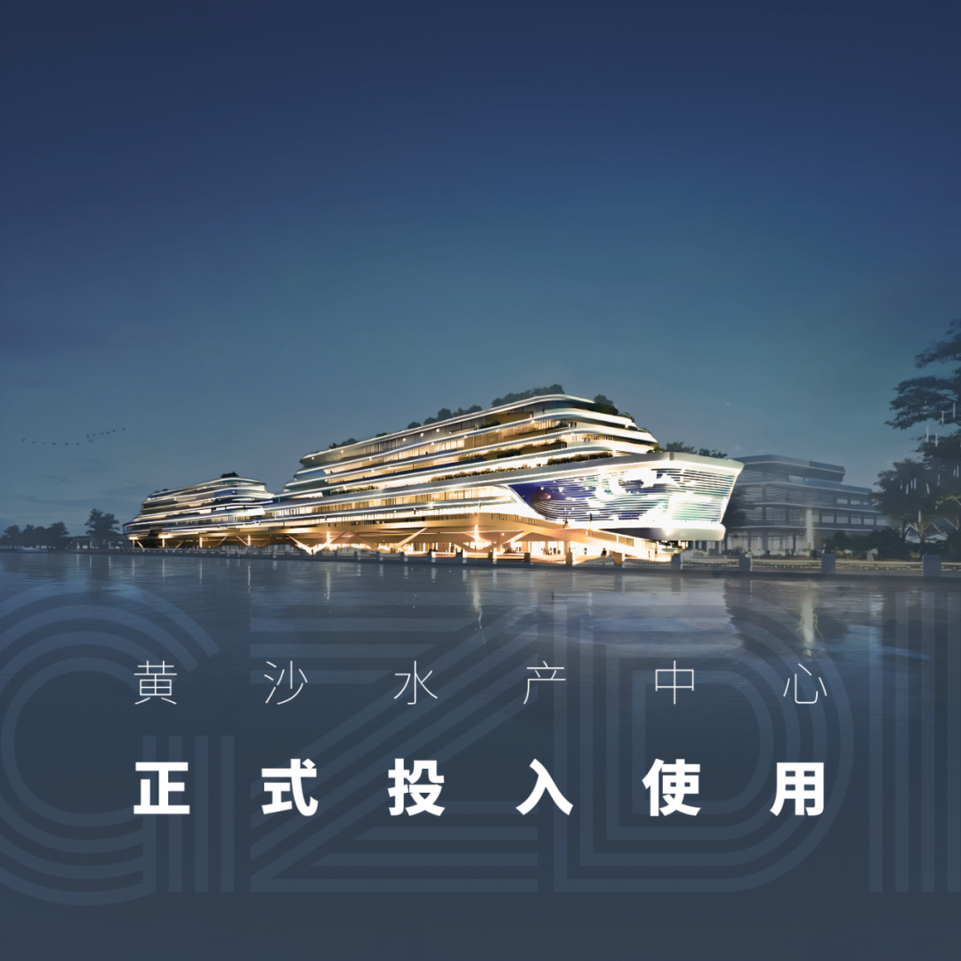 GZDI项目动态| 新舟扬帆，华南智慧水产新标杆——广州黄沙水产中心-1