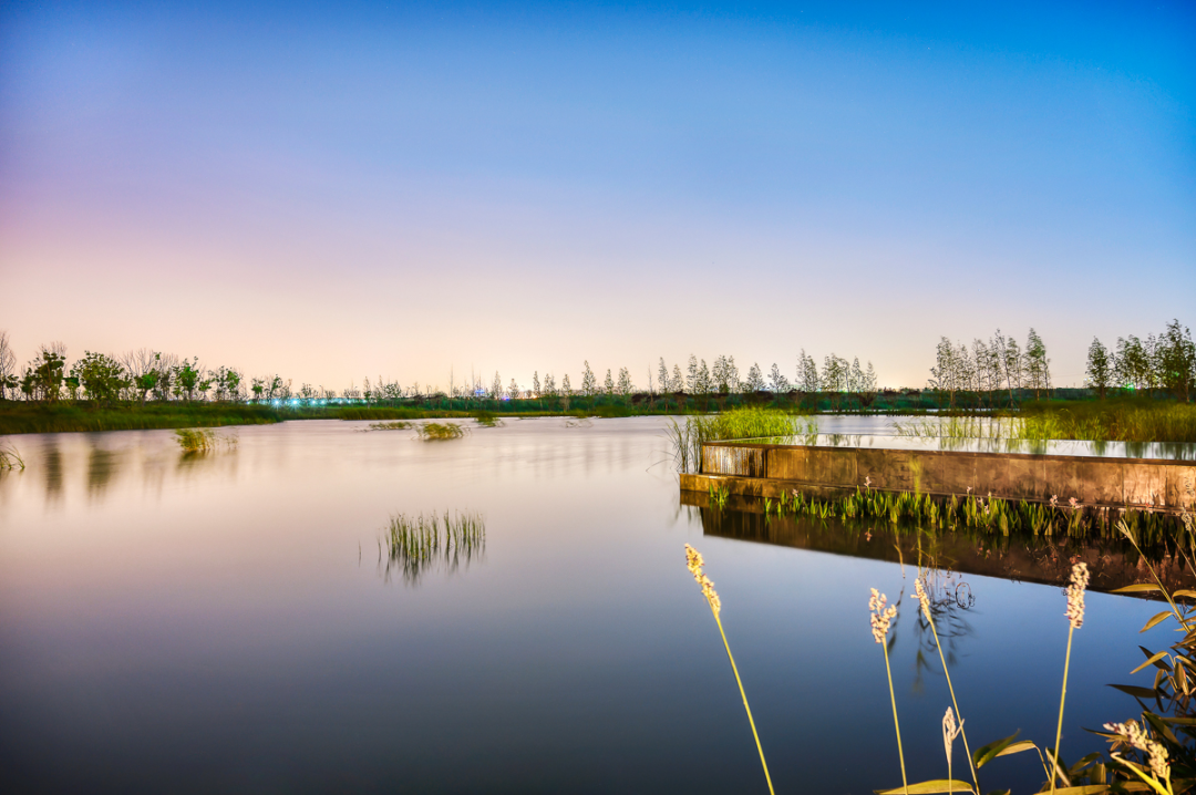 苏州鲁能泰山九号-66