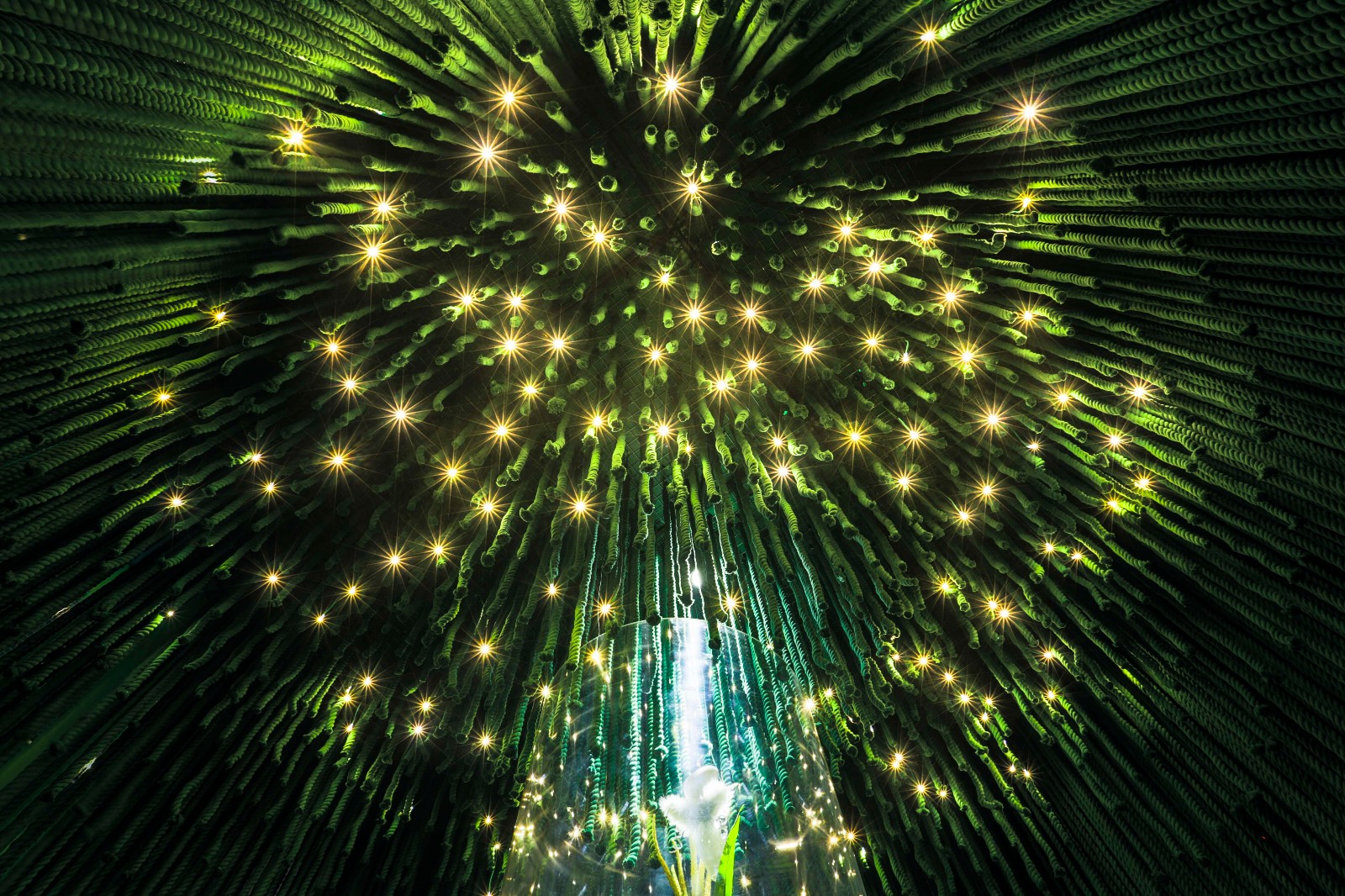 云南白药益小小展示空间-21