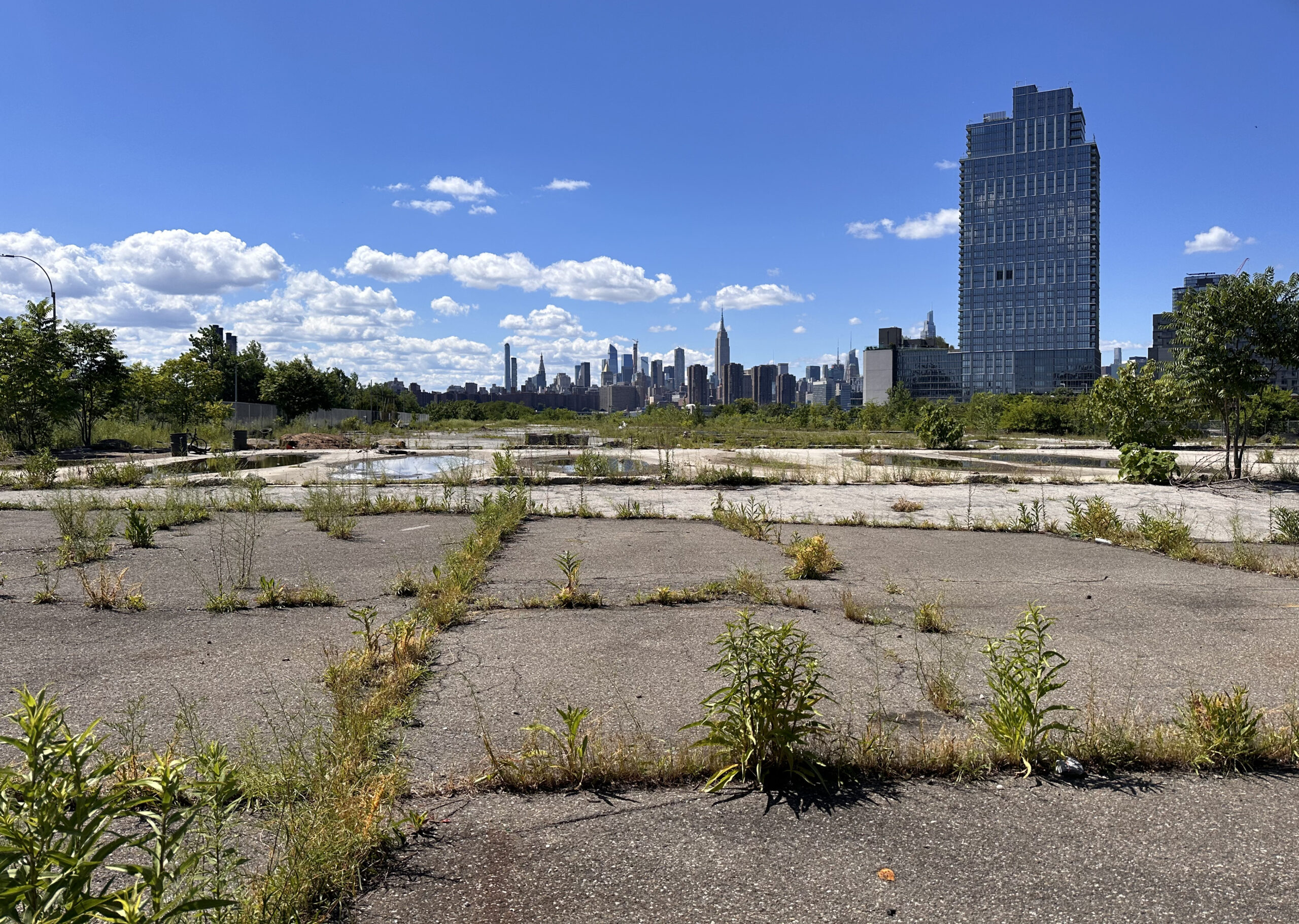 Bushwick Inlet Park Takes Shape Along Waterfront in Williamsburg, Brooklyn - New York YIMBY-9