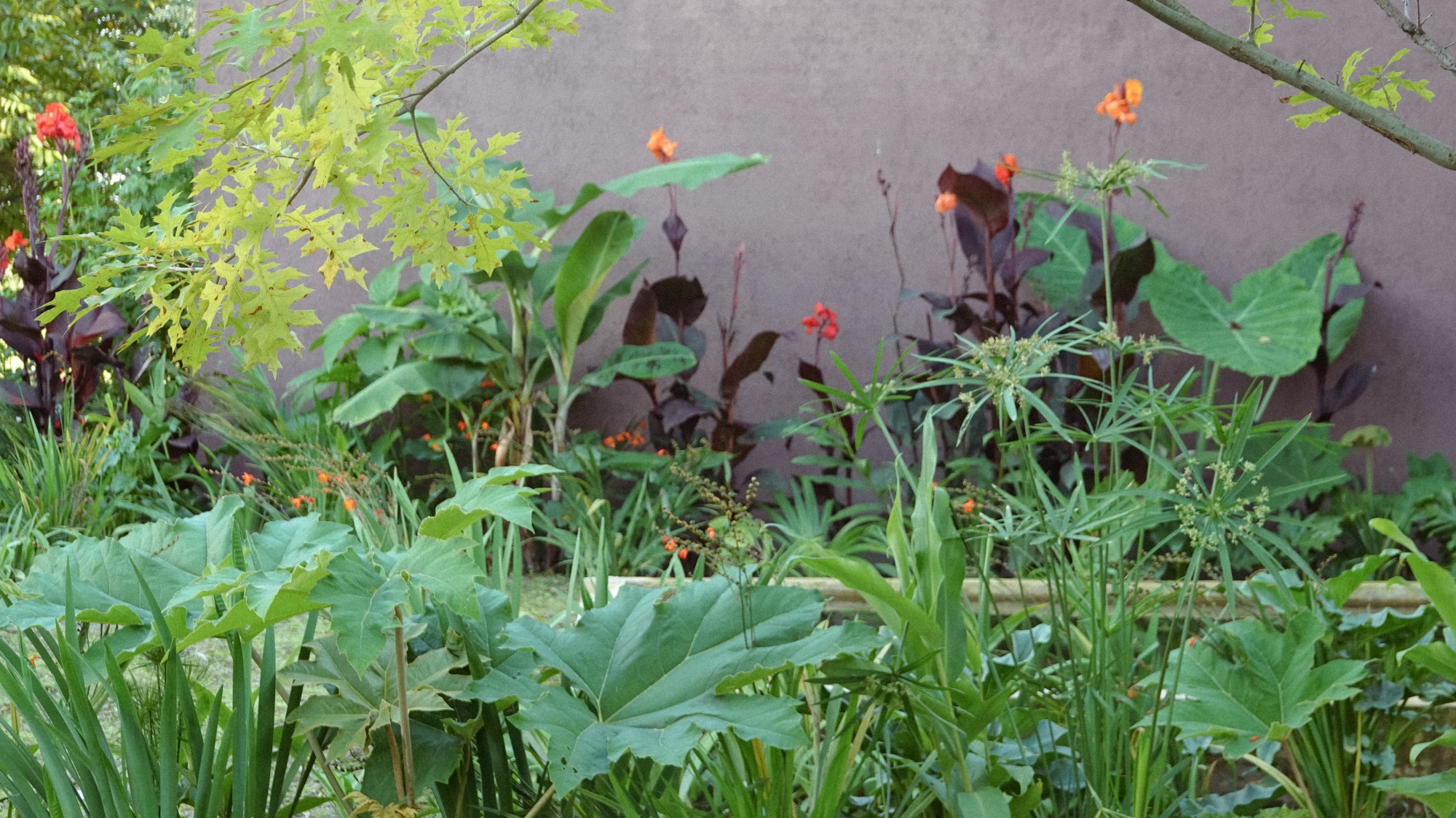 大理山下花园丨中国大理丨上海叙野景观设计有限公司-55