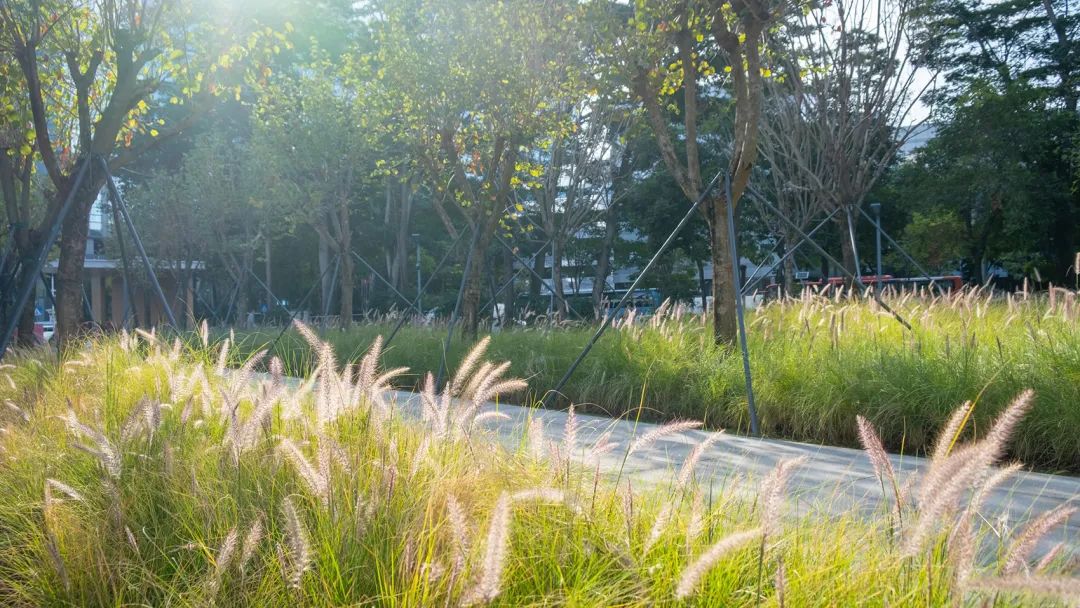 深圳智见·云上 · 科技与自然融合的社区公园丨中国深圳丨林俊英景观工作室,深圳市造源景观旅游规划设计有限公司-145