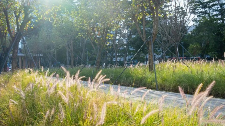 深圳智见·云上 · 科技与自然融合的社区公园丨中国深圳丨林俊英景观工作室,深圳市造源景观旅游规划设计有限公司-145