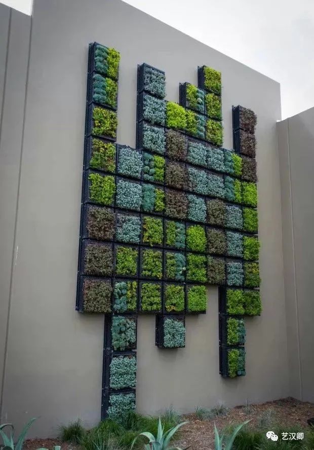 创意多肉墙 | 绿色装饰的艺术魅力-2