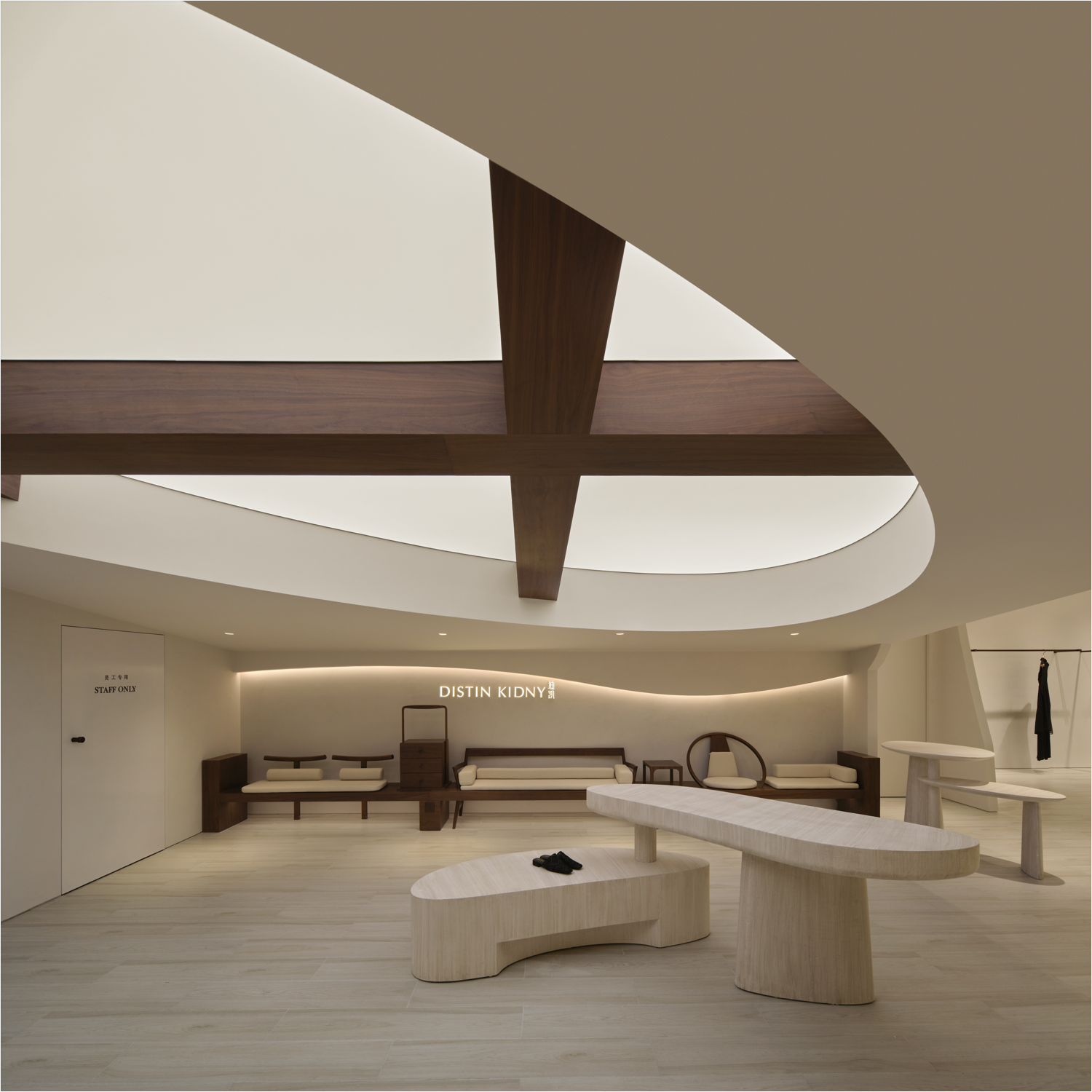 Distin Kidny store by All Design Studio-11