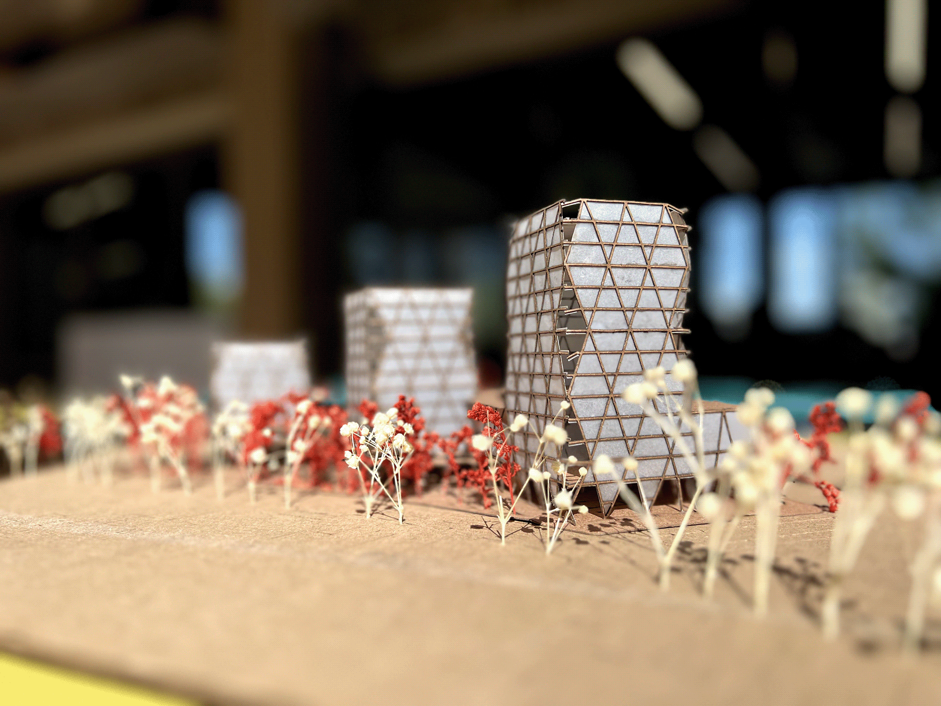 ARQT3101: Teatro experimental Rionegro TEX-R-8