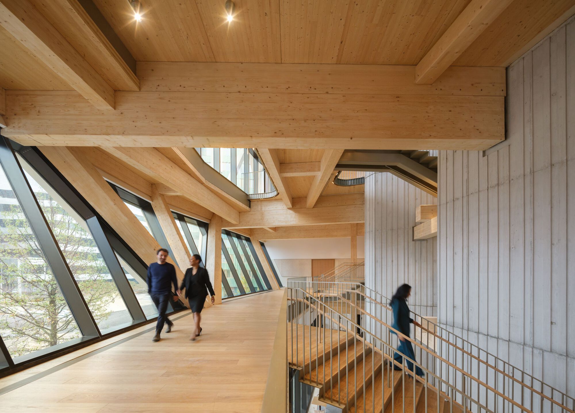 David Rubenstein Treehouse - Harvard University / Studio Gang-40