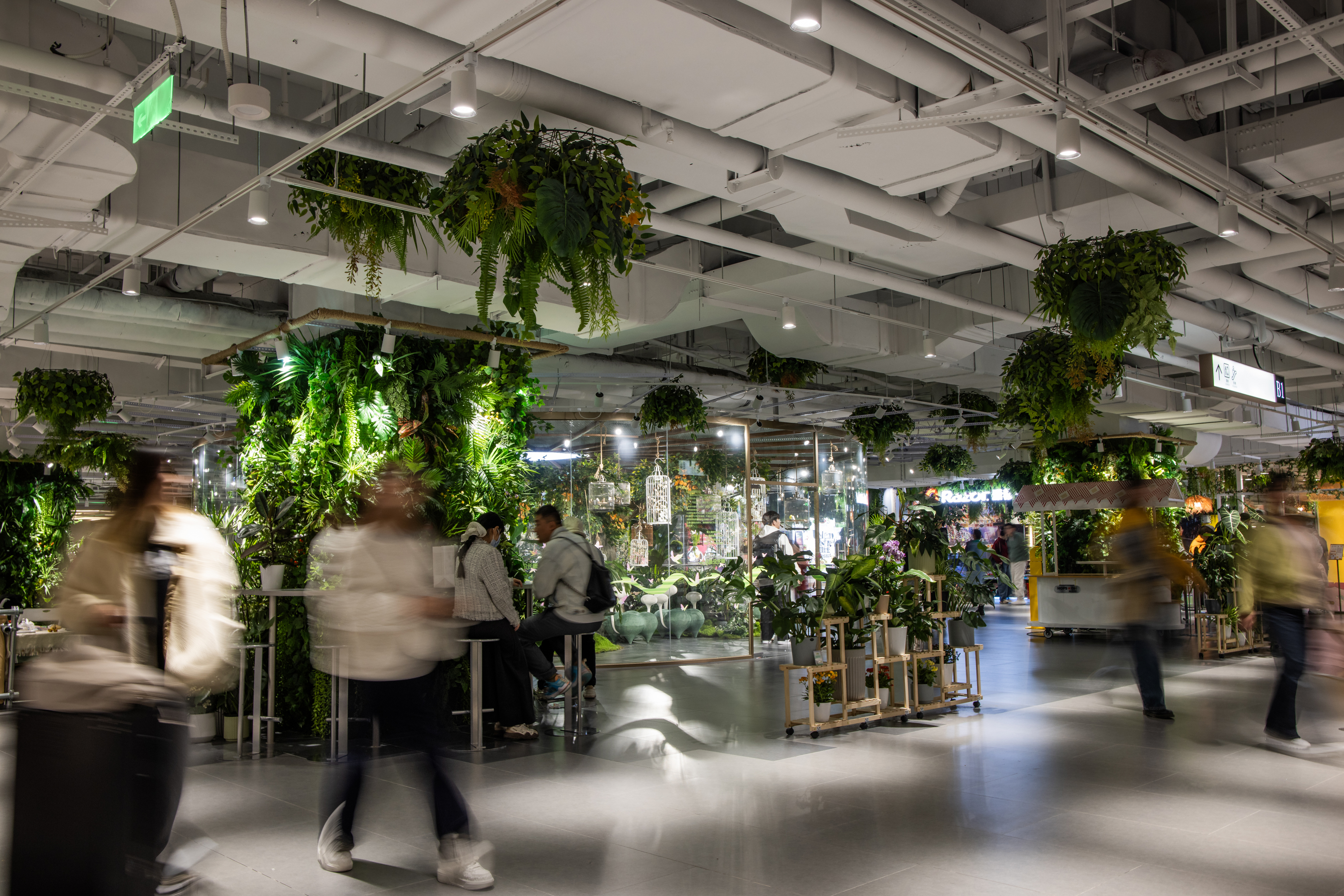 北京超极合生 迷失在花鸟鱼虫市场里的年轻人。-20