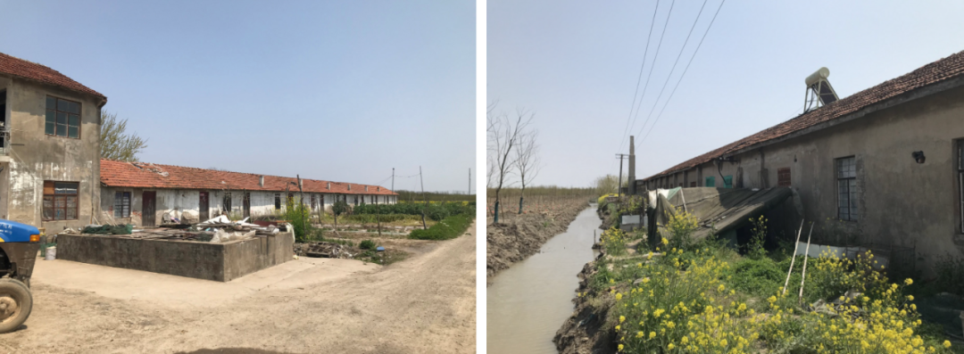 黄金晒谷场 Cockaigne of Everyman丨中国上海丨Wutopia Lab-9