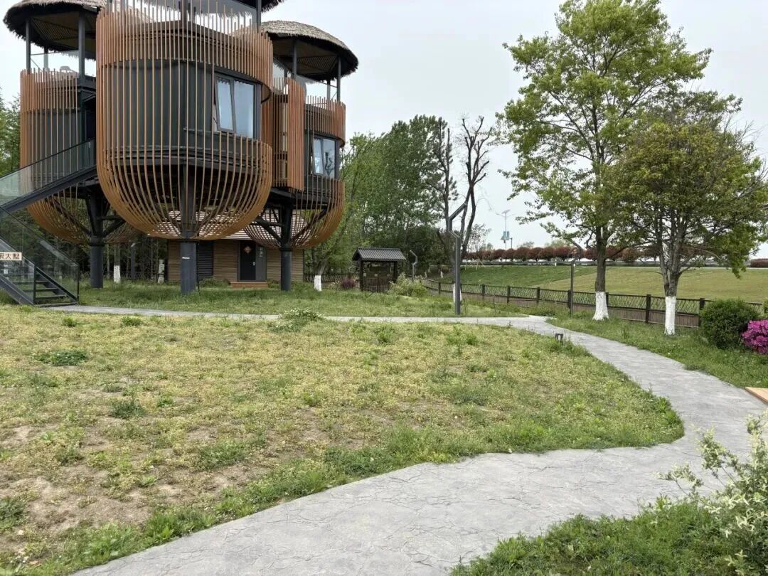 暑假背提-湖州&宣城搭建回顾|从露营地木构到茶山森林装置，探索自然与建造的共生-40