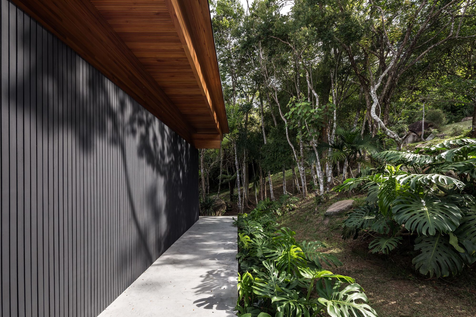 FB 住宅丨巴西丨Jobim Carlevaro Arquitetos-38