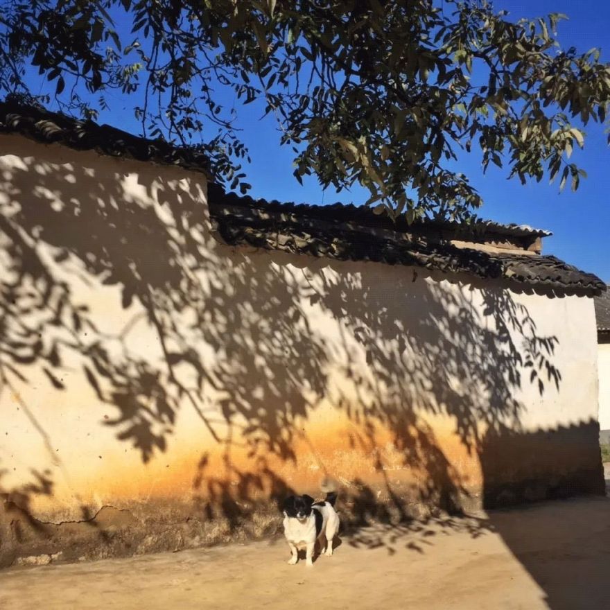 买不起房,小夫妻把牛棚改造成家,竟成300㎡大别墅还有150㎡花园菜地......-166