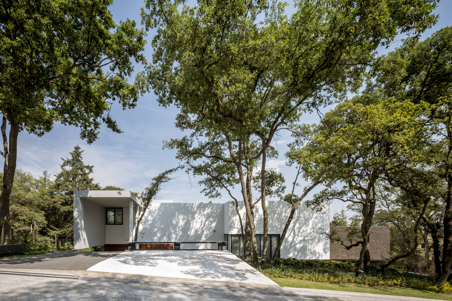 墨西哥森林中的自然之家-44