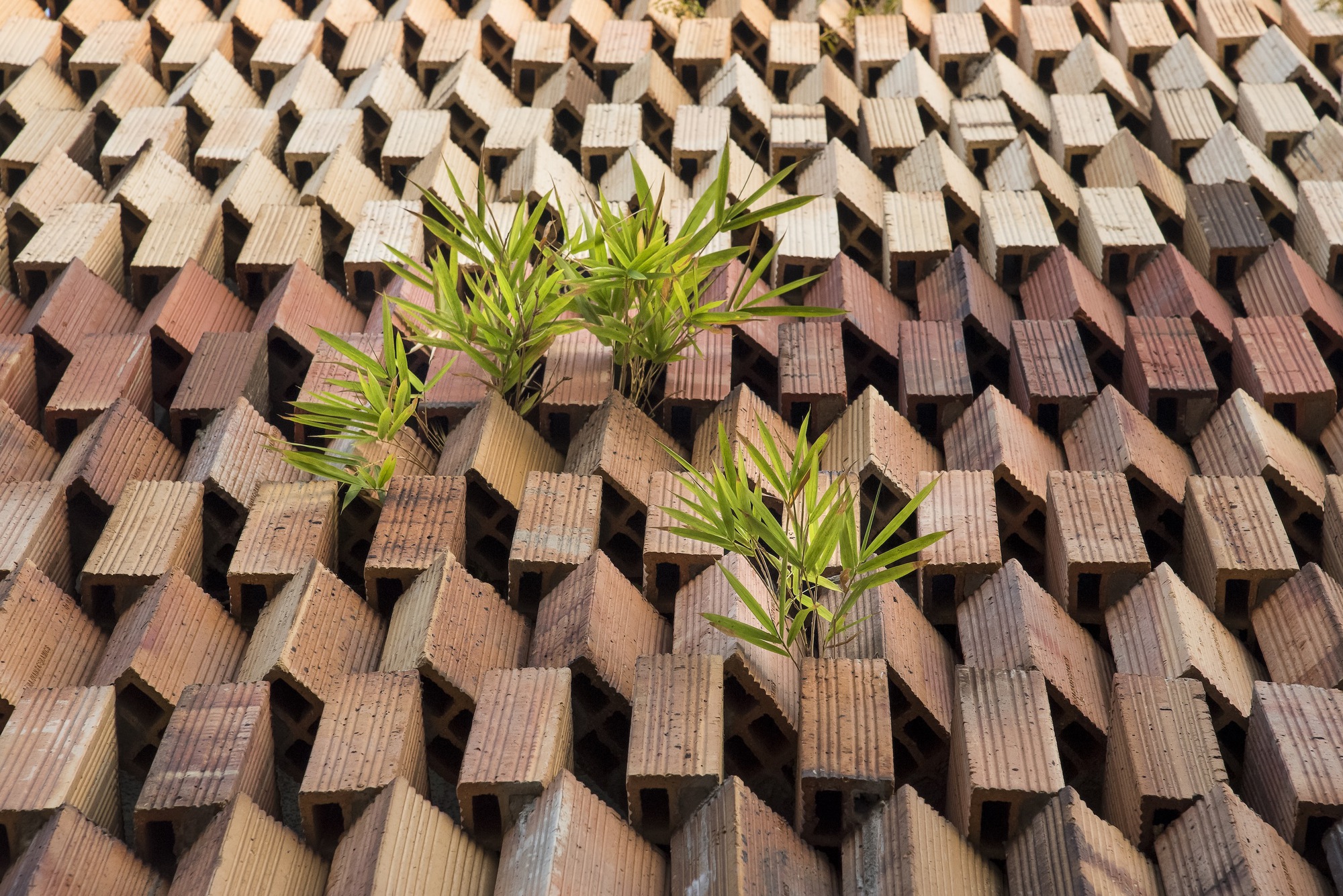 生态绿洲住宅丨印度丨ICon Architects and Urban Planners-31