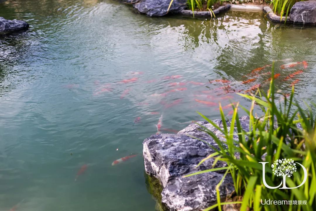 江苏常州溪栖庄园 | 地中海风格庭院，悠境景观的浪漫之作-27