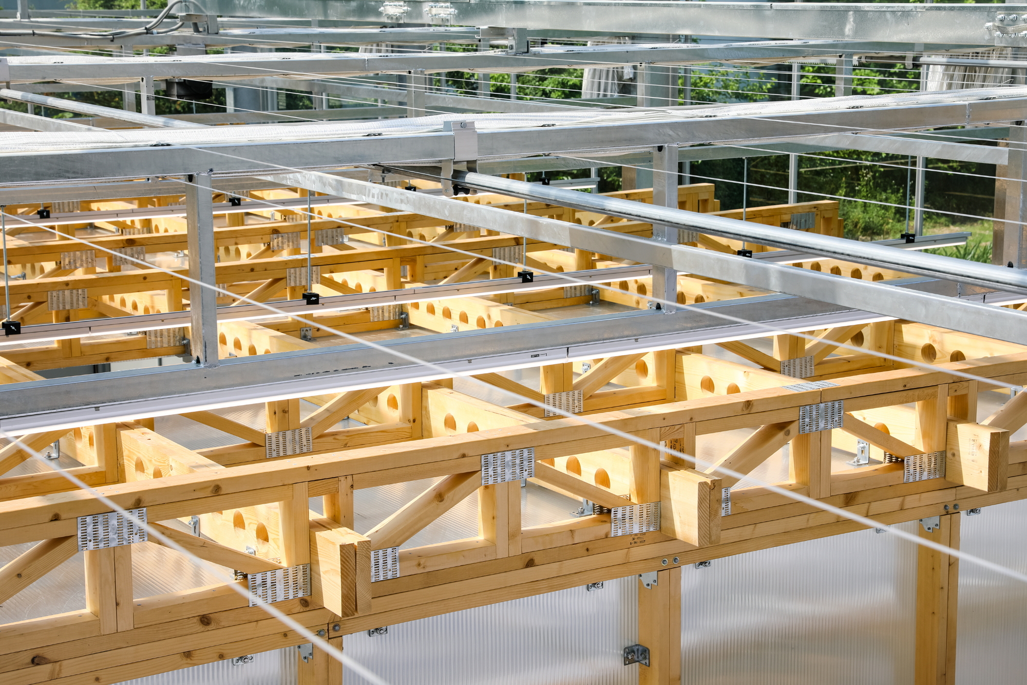 Glass House Laboratory / STAY Architects-30