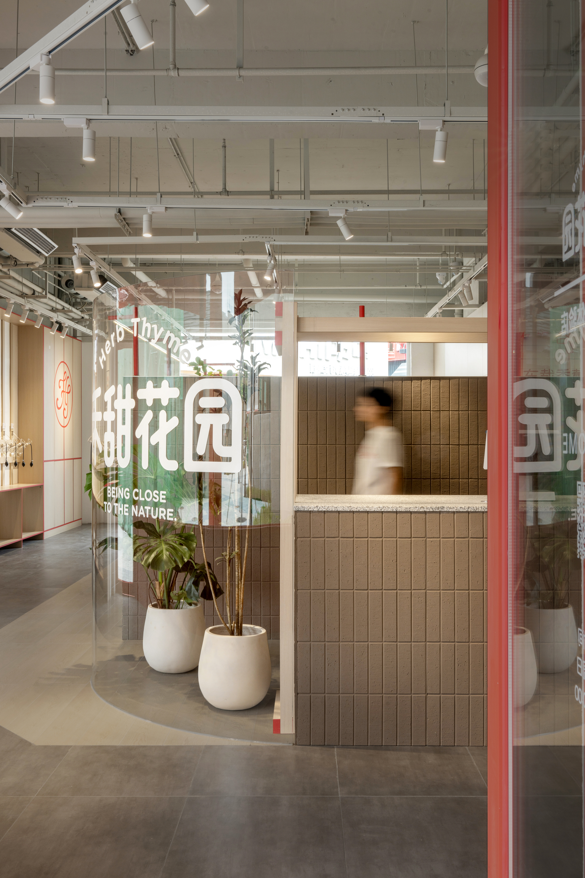 HERB THYME禾甜花园丨中国沈阳丨白菜设计-24
