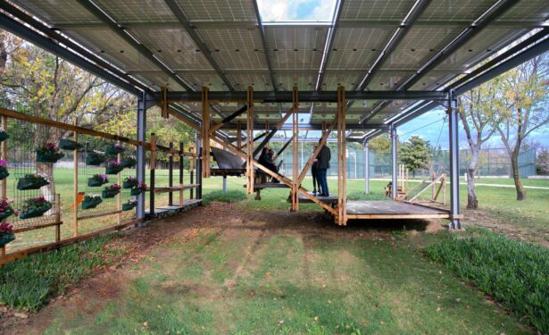 丨MEF大学替代建筑实践硕士项目团队-10