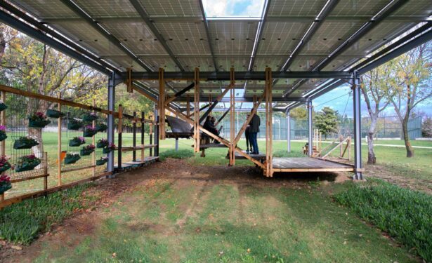 丨MEF大学替代建筑实践硕士项目团队-10