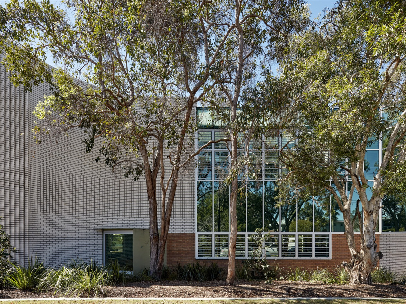 澳大利亚坎农山圣公会学院 D 座丨Reddog Architects-3