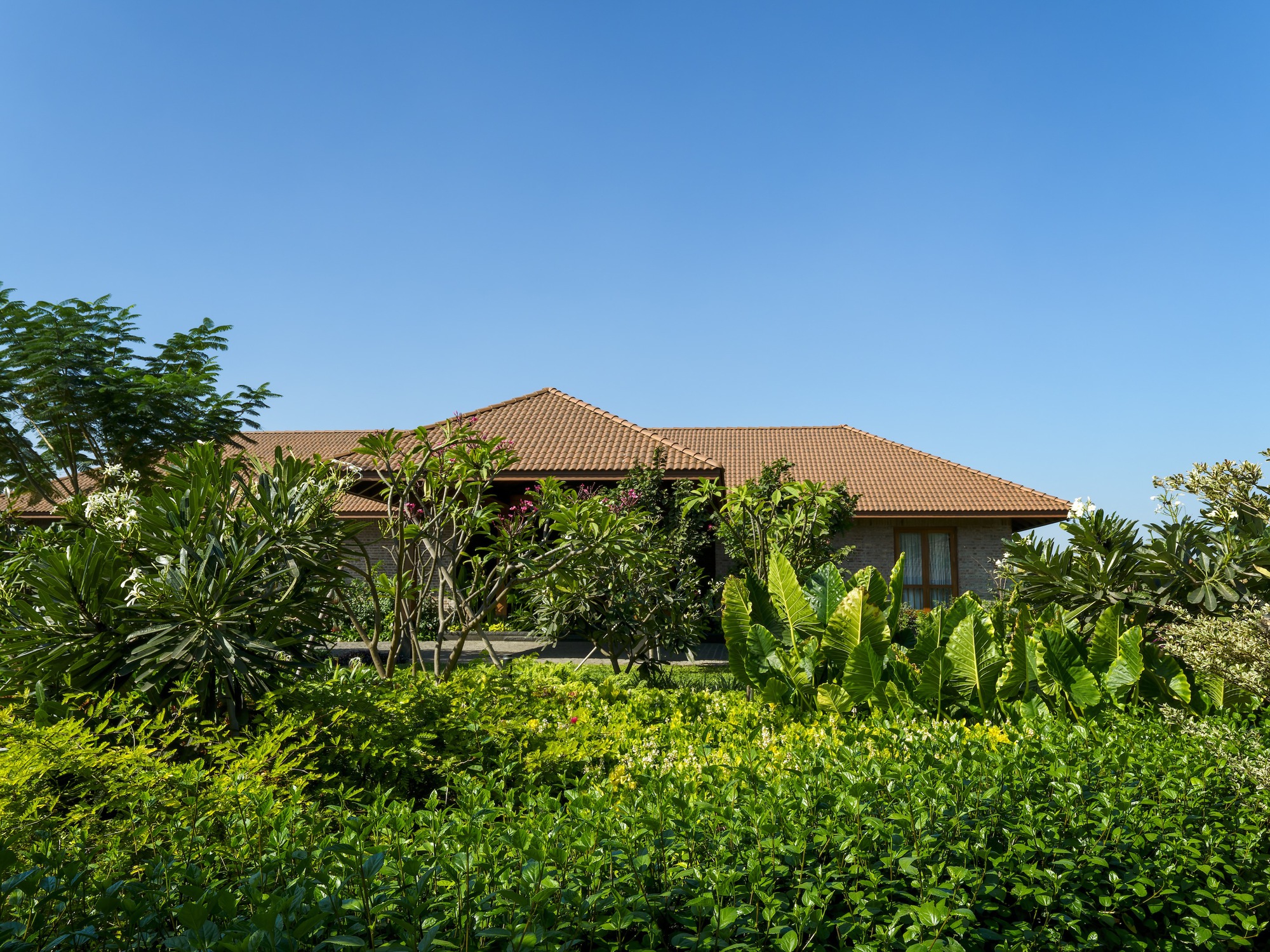 两院之屋丨印度丨Studio mahajani + mahajani-34