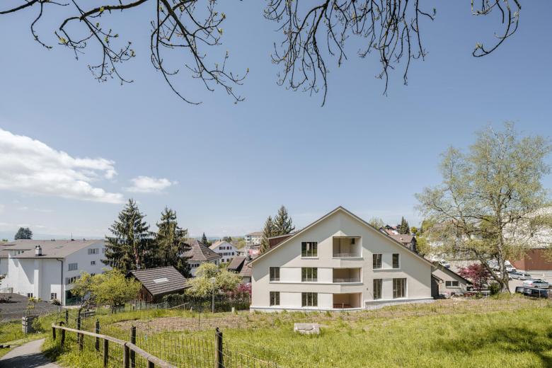 赫特利豪斯替代新建筑丨瑞士丨KLP Architekten SIA-10