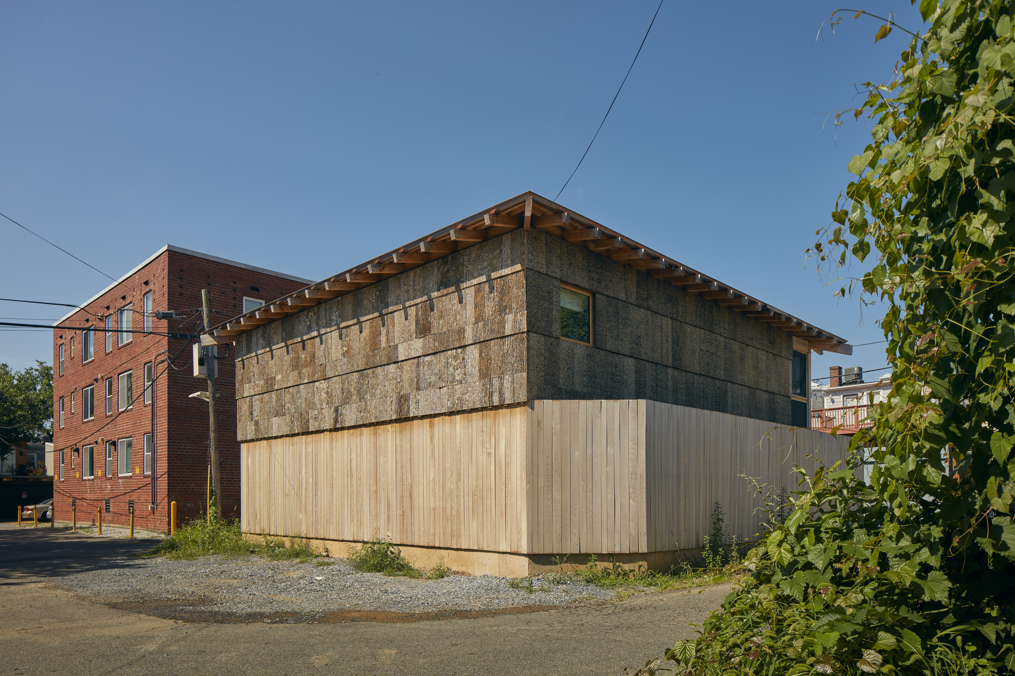 杨树丛丨美国华盛顿丨BLDUS-35