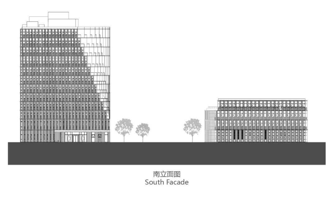 崇明体育训练中心 | 生态实验的诗意建构-128