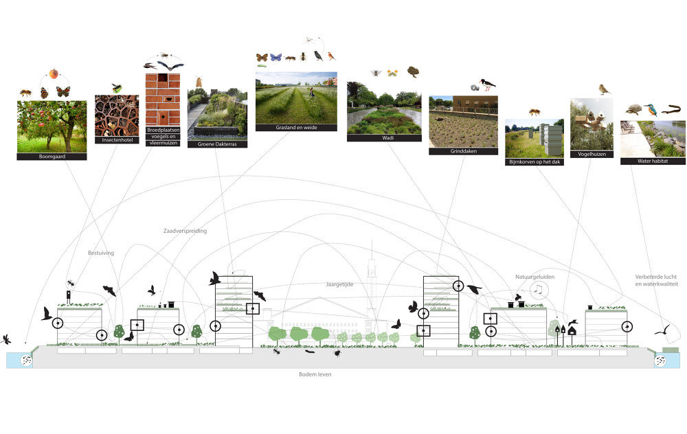 丨荷兰阿姆斯特丹丨Inside Outside,Mecanoo-22