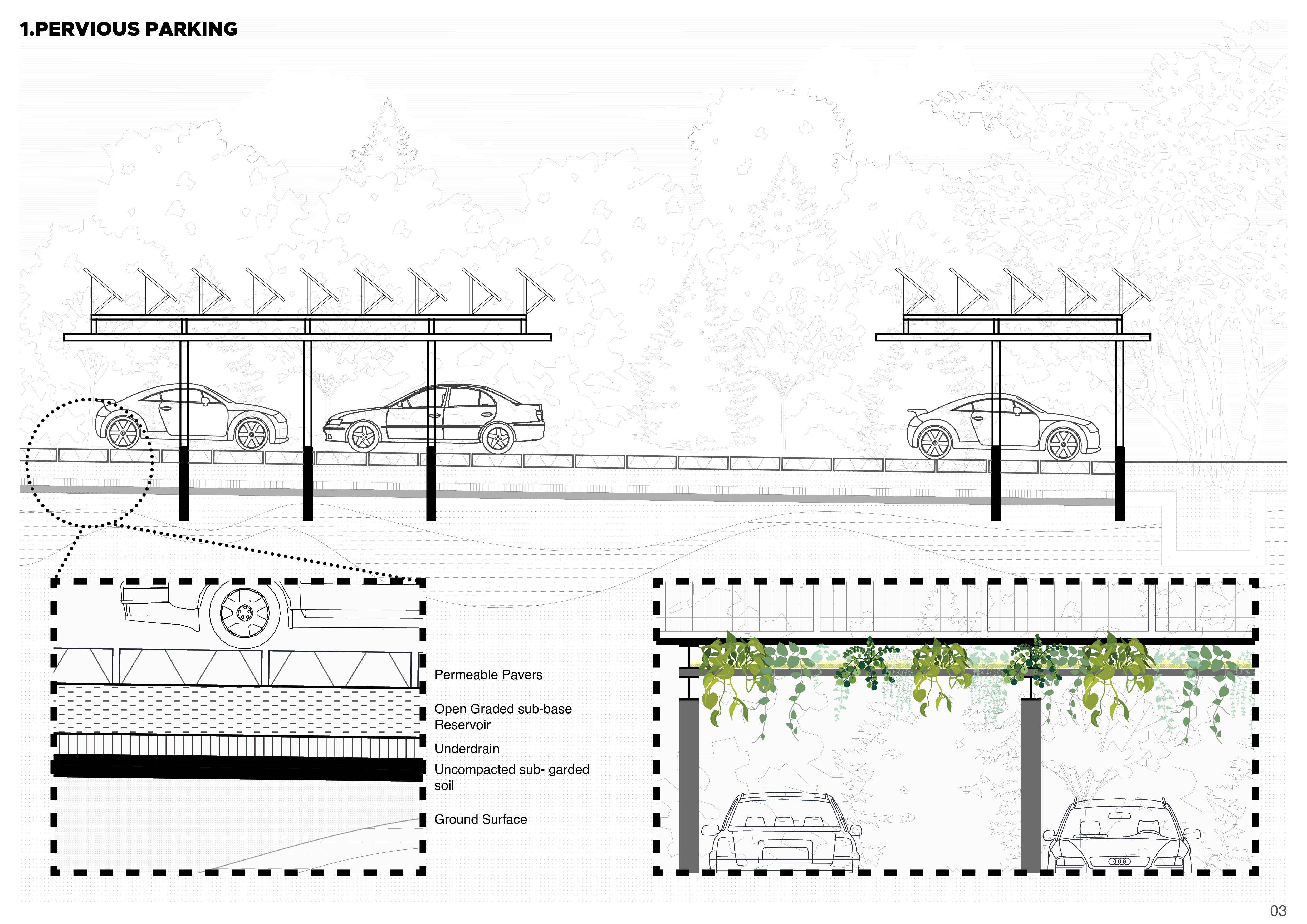 Landscape Portfolio-4