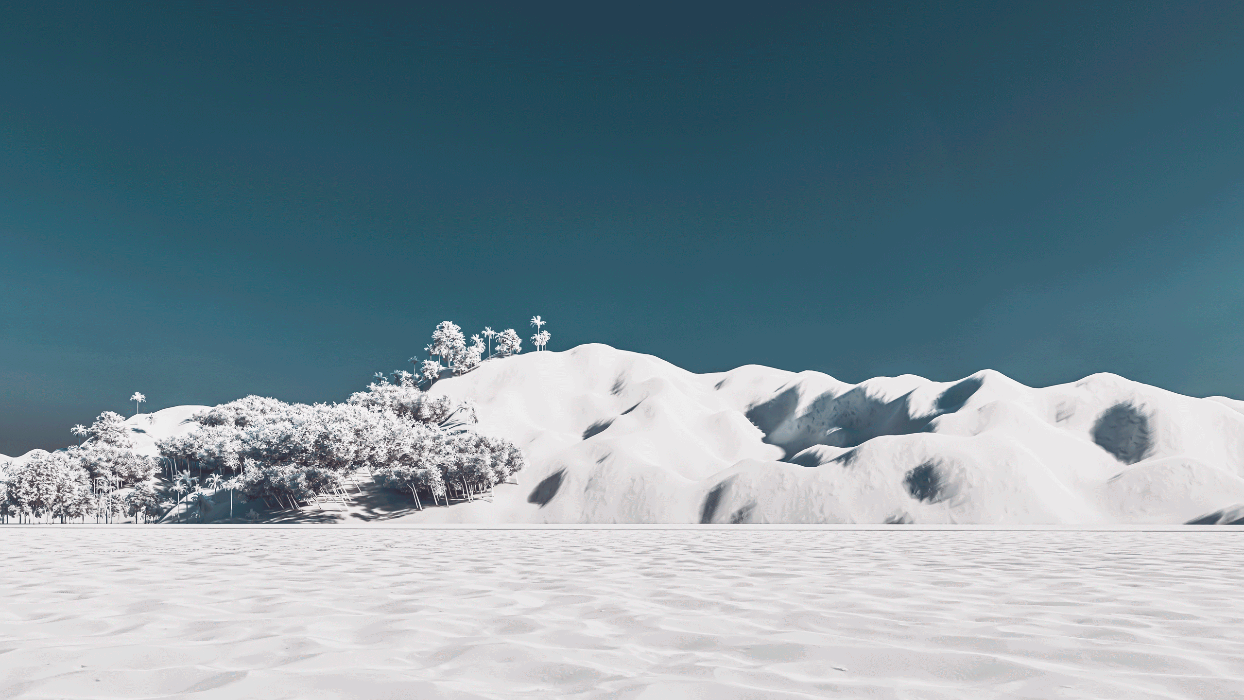 Volkswagen | New Passat | Car Booth-0