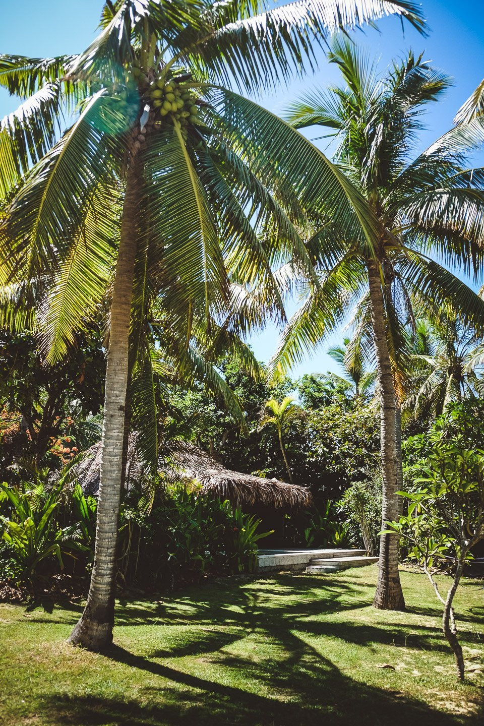 斐济五星级豪华度假酒店,现代斐济风格的海滨别墅-106