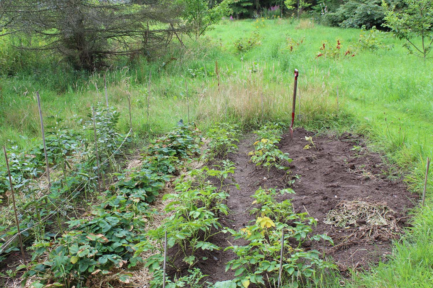 丨丹麦丨哥本哈根大学地理科学与自然管理系景观建筑与规划组研究团队-52