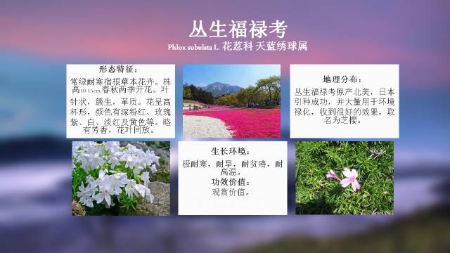 秋凌景观陪伴你学习的第3128天-84