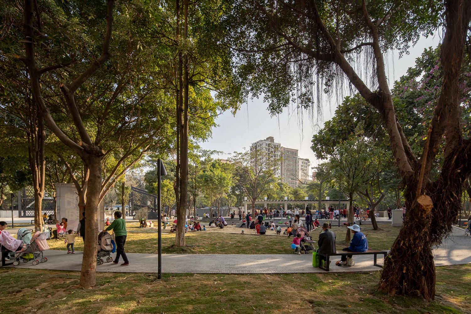 深圳大地的记忆-12